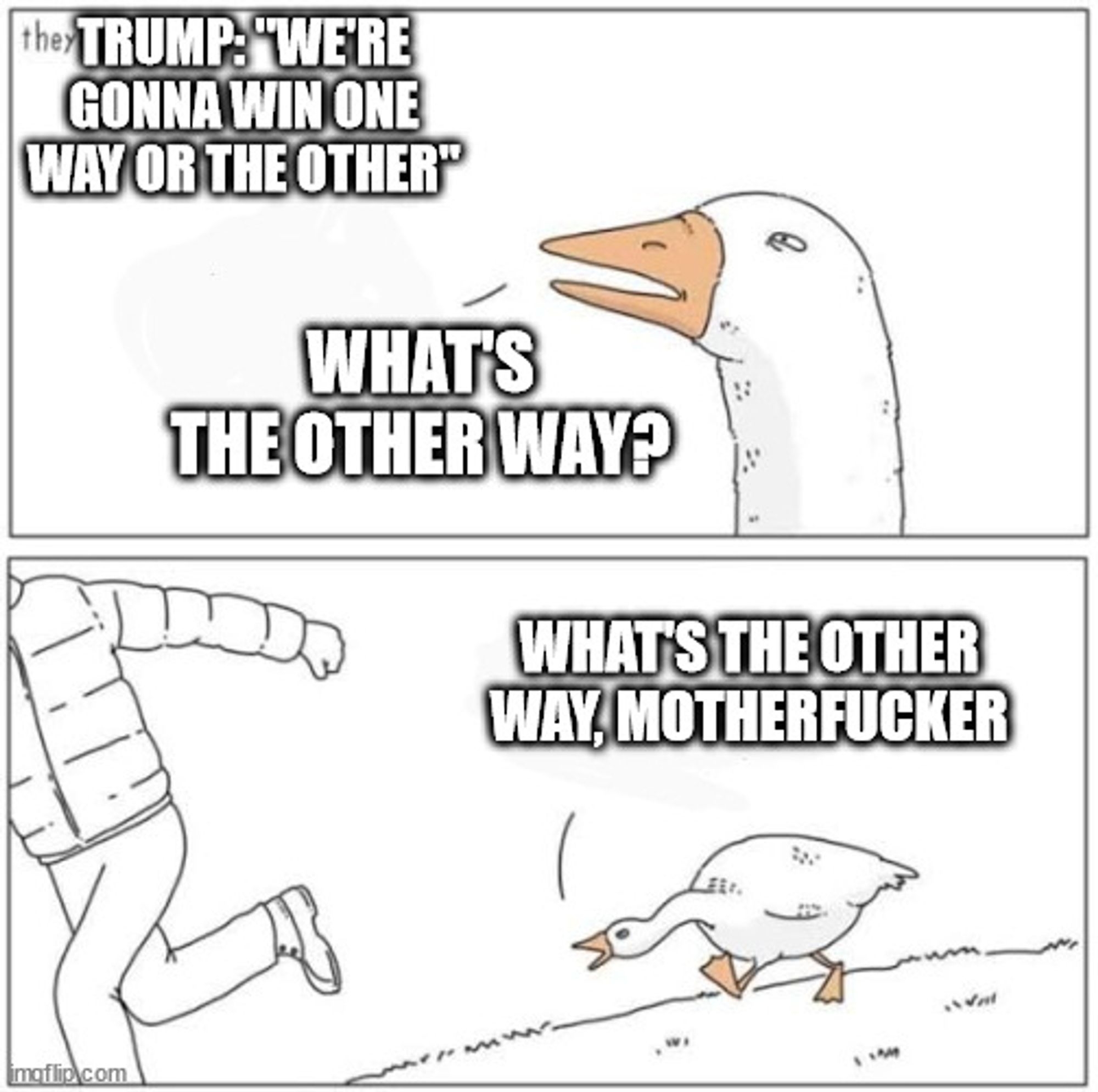 Angry goose meme. 

Pictured in the top panel is a quote from Donald Trump saying "We're gonna win one way or the other". The goose asks, "What's the other way?" In the bottom pane, the goose says, "What's the other way, motherfucker."