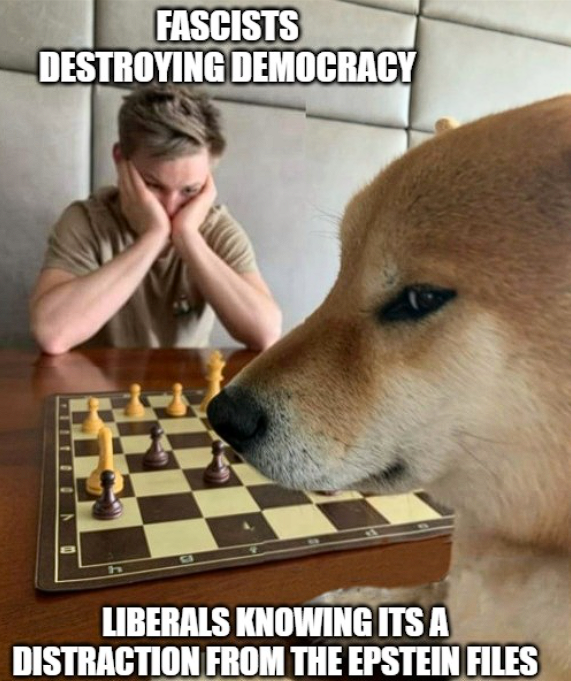 Smug doge and kid thinking hard playing chess. Above the kid is written "fascists destroying democracy," while below the doge is "liberals knowing it's a distraction from the Epstein files."